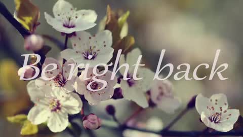 1LINDSEY1 online show from April 14, 10:59 am