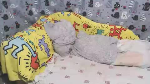 GoldenFish online show from April 8, 7:10 am