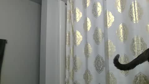 Princess Adri online show from April 5, 1:54 pm