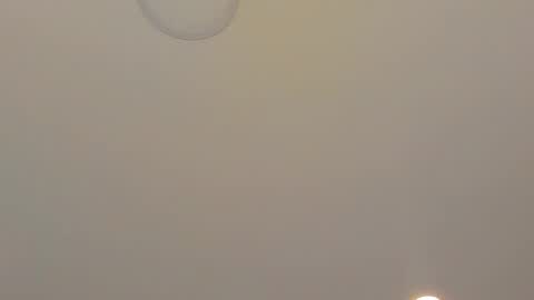 Alanna  online show from March 23, 3:45 am