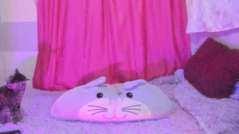      online show from April 13, 6:30 pm