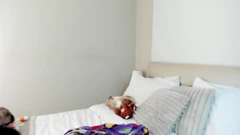 Katha online show from March 25, 4:54 pm