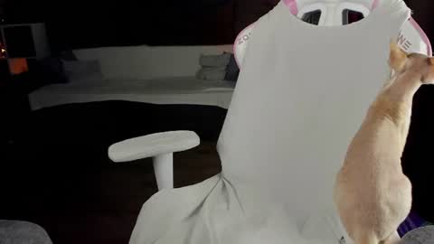 AnnaThe next stream is tomorrow online show from June 16, 4:13 am