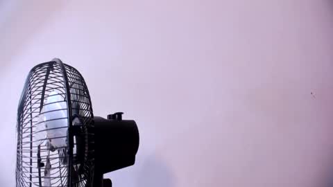 ashlybenison online show from October 11, 5:45 am