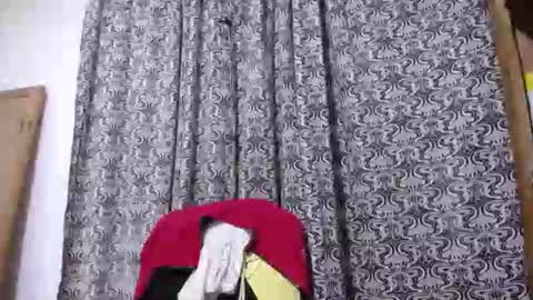 aslanne online show from April 20, 6:33 pm