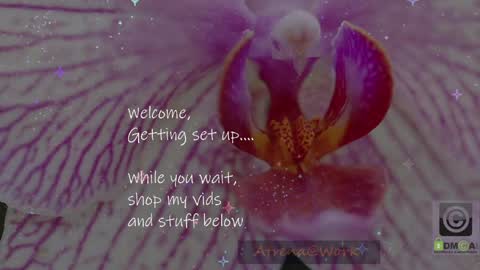 Atrena online show from April 13, 3:08 am