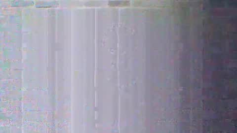 Chaterlain online show from January 12, 8:08 am