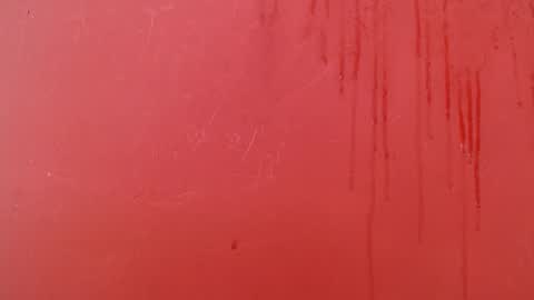 bayonette_black online show from November 17, 7:36 pm