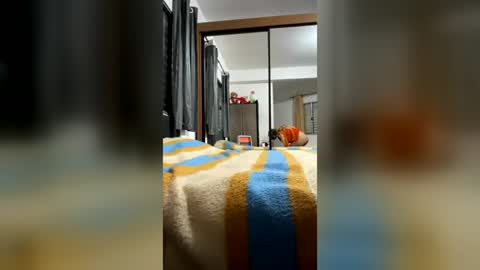 binext online show from June 29, 1:34 am