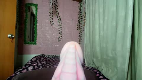 paula online show from April 12, 7:55 am