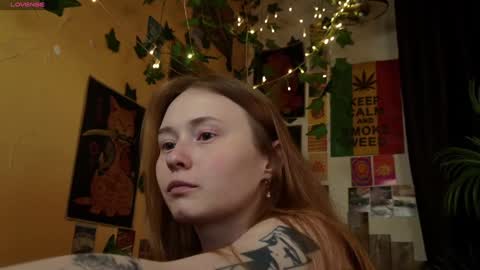 Lissa online show from January 23, 8:45 pm