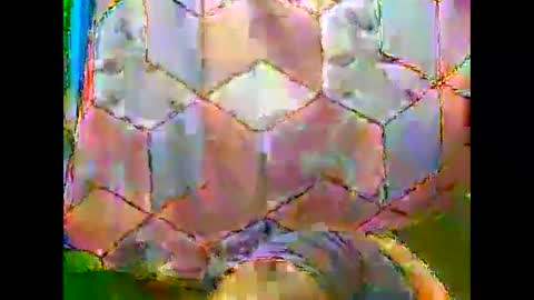 Rita online show from December 5, 5:18 am