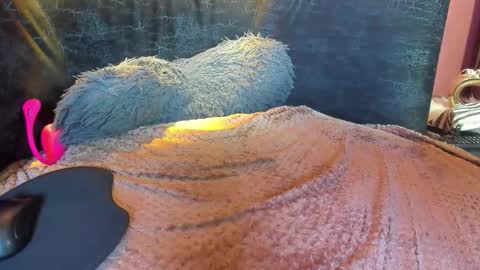 danielamonroe online show from March 5, 3:46 am