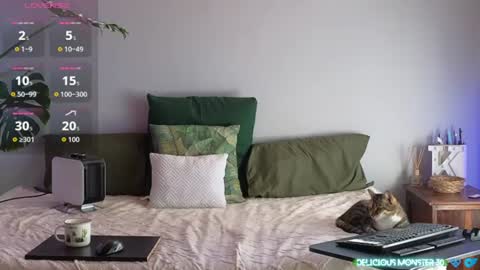Kitty online show from July 19, 9:00 am