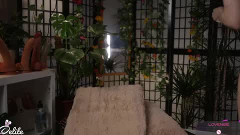 DeLite  Next stream on Wednesday or Thurdsay  online show from April 1, 1:41 pm