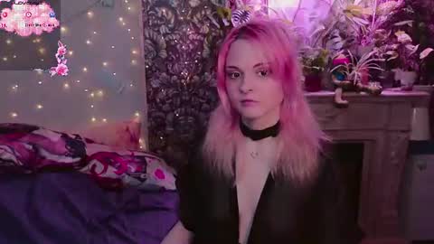 DiBi online show from June 29, 8:41 pm
