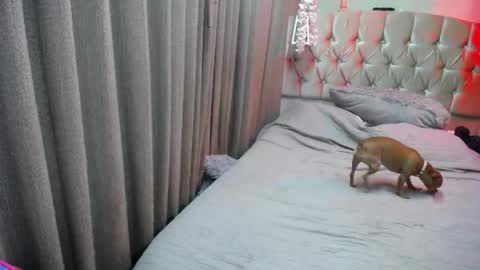 Sophia online show from June 8, 3:51 am