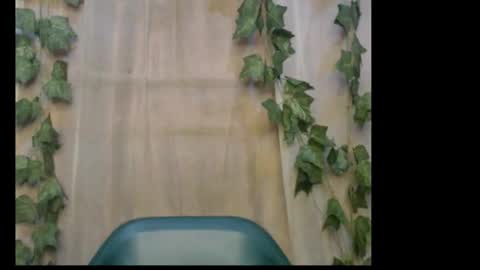 linda online show from February 4, 10:29 am