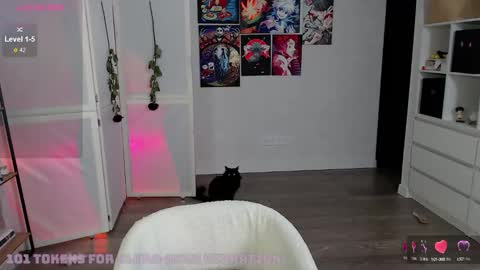 Ari online show from March 2, 1:20 pm