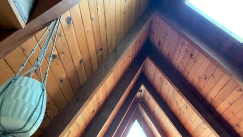 popalottapuss - puddin tits - daddy - buttercup - bonfire - Mrs. Fuck Yea - hibeams - honey buns - online show from April 13, 6:30 pm