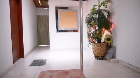 evelyn evelyn online show from April 3, 7:01 pm