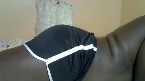 Puppy online show from July 14, 4:17 am