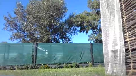 fox_red_lady7 online show from July 17, 2:54 pm