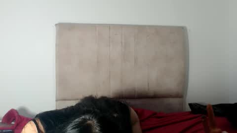 gatita13333321 online show from November 4, 9:42 pm