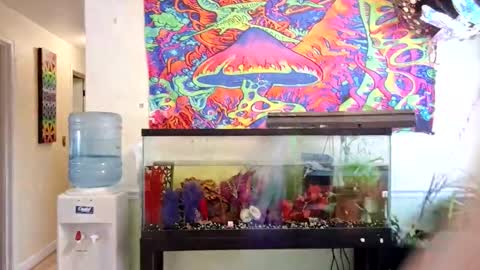 goodgirlcelestecat online show from March 10, 3:38 pm