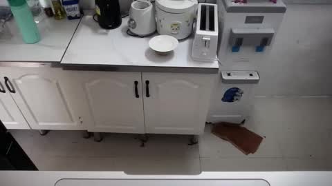 joyrider69 online show from April 30, 4:39 am