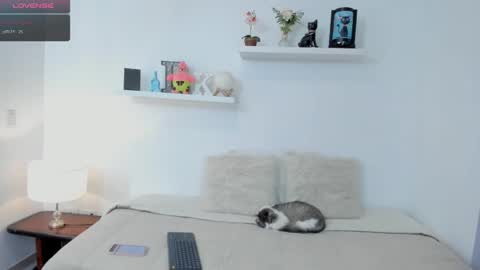 KailuaRose online show from January 27, 7:03 pm