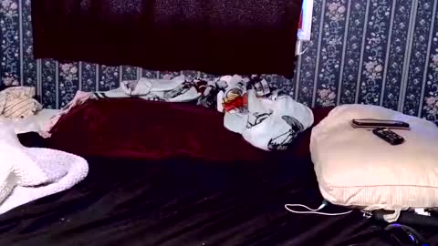 Kayla and daddy online show from April 9, 3:17 pm