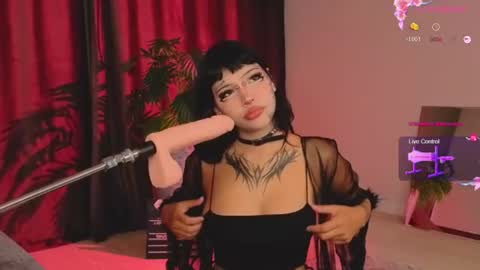 kotickmav online show from August 4, 4:46 pm
