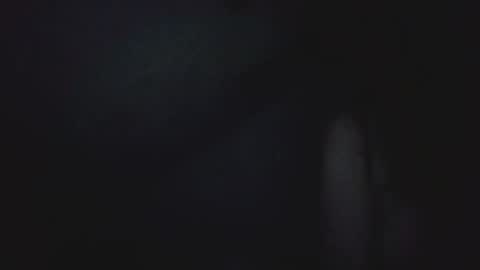 I work 5PM to 9 PM EST  New York online show from April 25, 9:45 pm