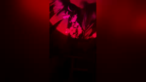 latinabby333 online show from May 22, 7:28 am
