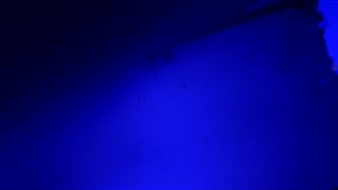 lcjw214 online show from April 22, 8:00 am