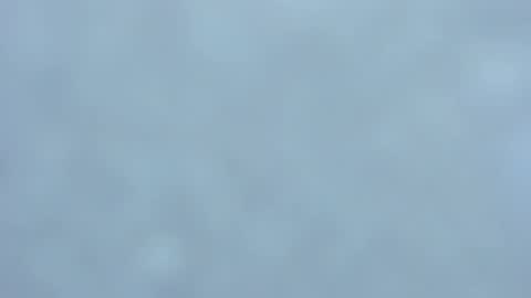 . online show from February 1, 3:52 am