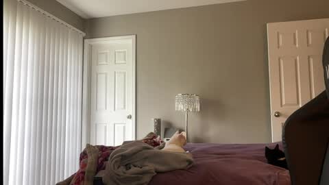 Lucy online show from April 11, 6:22 pm