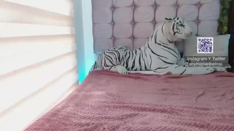 mariaribeiro online show from January 7, 7:50 pm