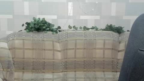 meowcr online show from March 21, 3:17 pm