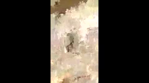 mimi_myssthang online show from April 22, 1:19 pm