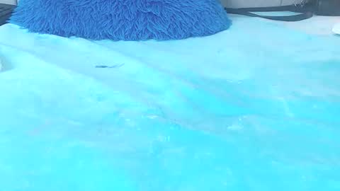 musaleva303av online show from April 4, 6:34 am