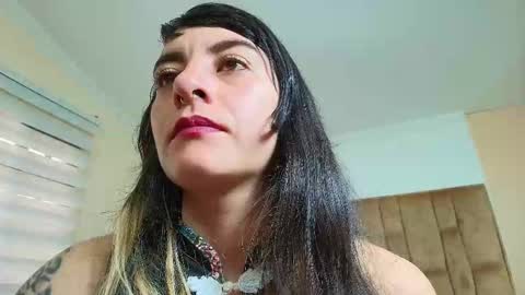 Kitten online show from March 9, 11:46 am