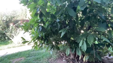 Andreea online show from September 23, 6:11 am