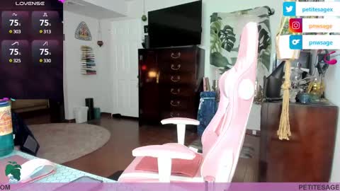 petitesage online show from December 25, 11:53 pm