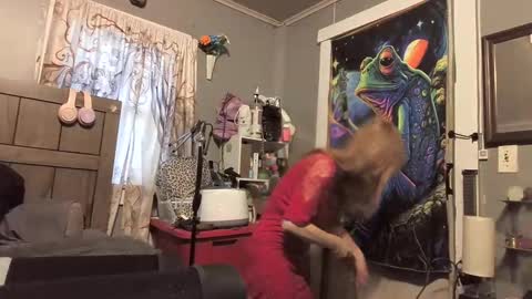 pizzedwife online show from April 5, 12:04 pm