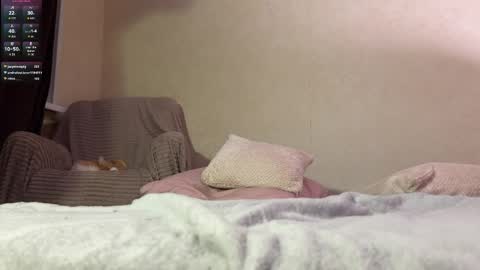 puredesire_ online show from April 4, 8:18 pm