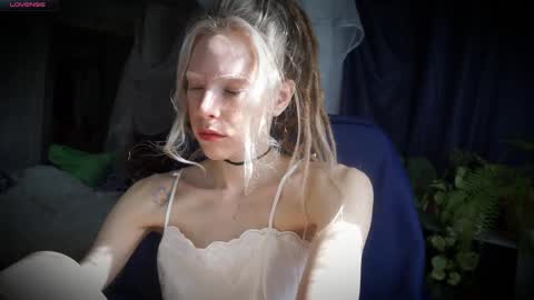 ada online show from March 27, 11:00 am