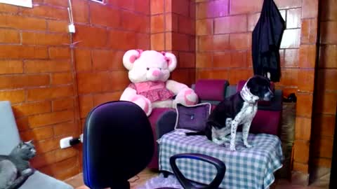 raven__purple online show from August 7, 1:12 am