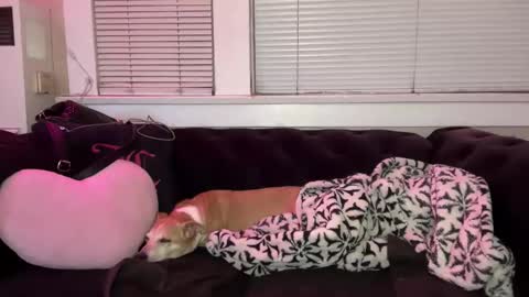 samanthafever online show from April 7, 11:56 am